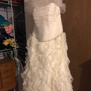 Wedding dress from David’s bridal